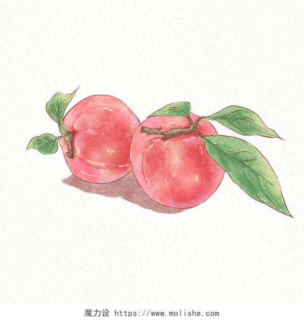 微立体营养食物水蜜桃水果植物素材插画png